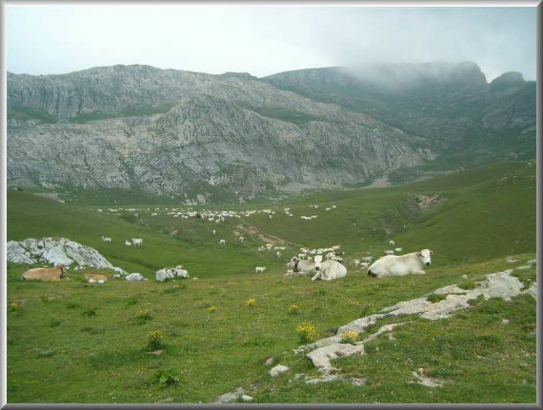 Clicca per vedere la Foto Originale