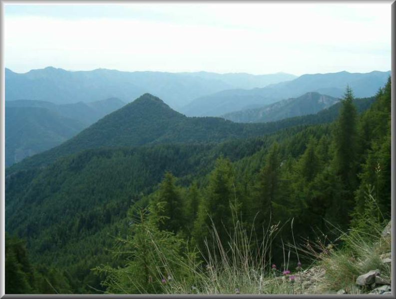 Clicca per vedere la Foto Originale