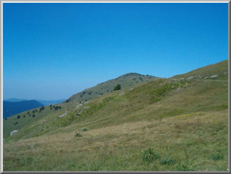 Clicca per vedere la Foto Originale