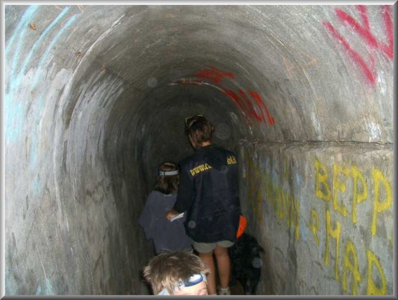 Clicca per vedere la Foto Originale