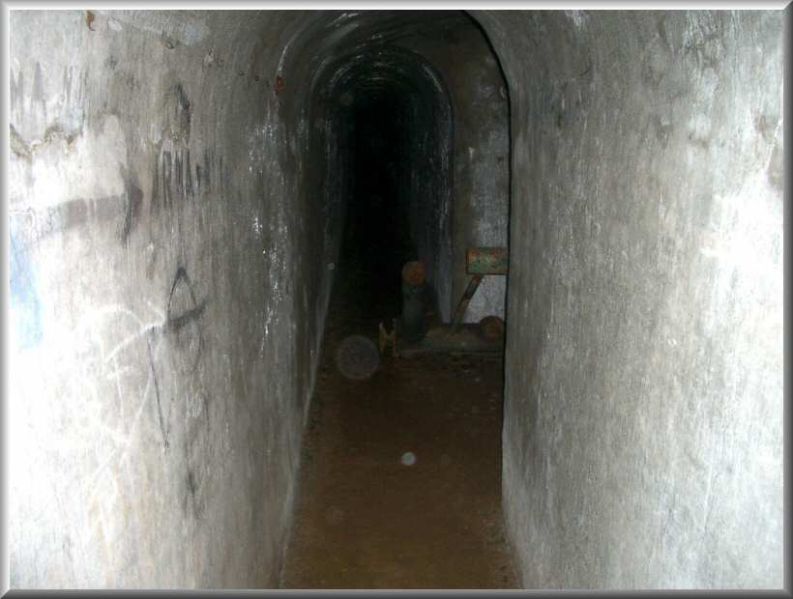 Clicca per vedere la Foto Originale