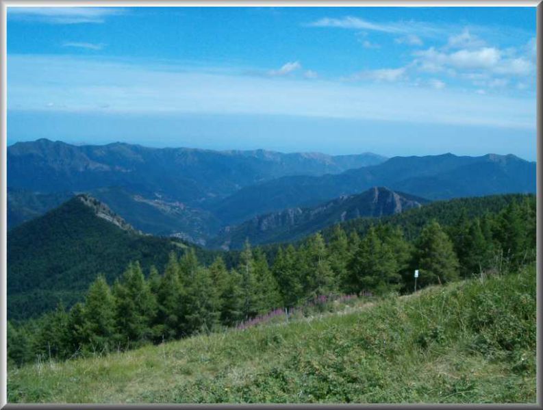 Clicca per vedere la Foto Originale