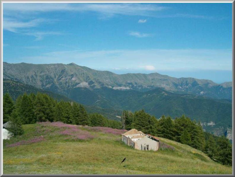Clicca per vedere la Foto Originale