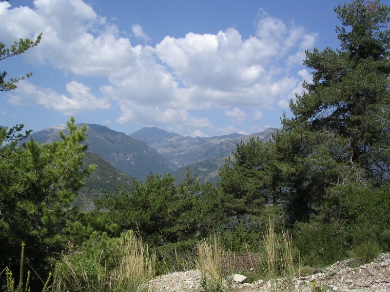 Clicca per vedere la Foto Originale