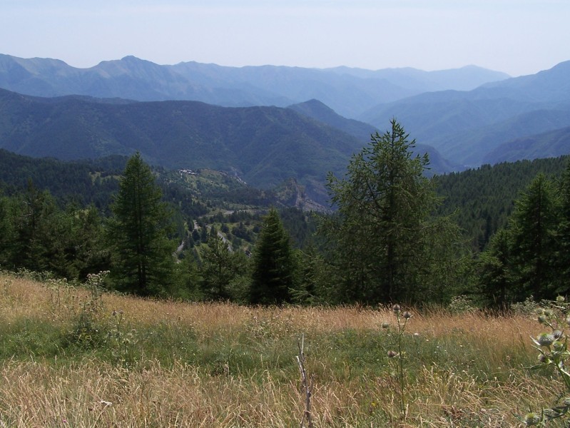Clicca per vedere la Foto Originale