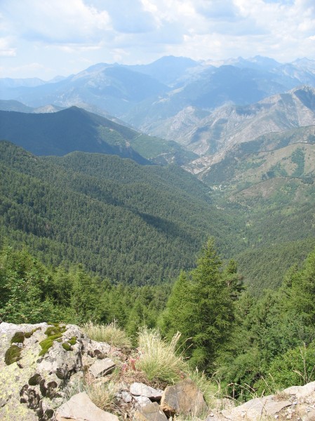 Clicca per vedere la Foto Originale