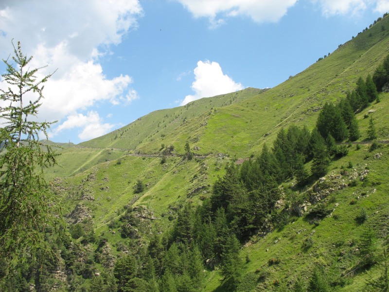 Clicca per vedere la Foto Originale
