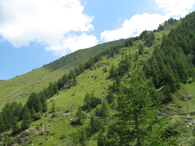 Clicca per vedere la Foto Originale
