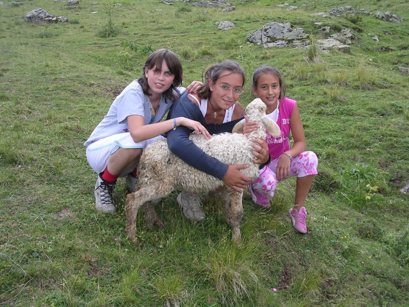 Clicca per vedere la Foto Originale