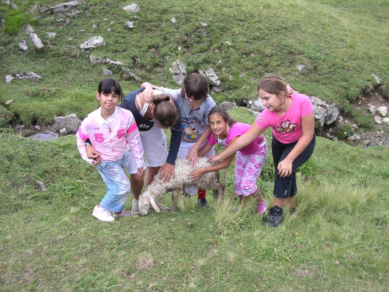 Clicca per vedere la Foto Originale