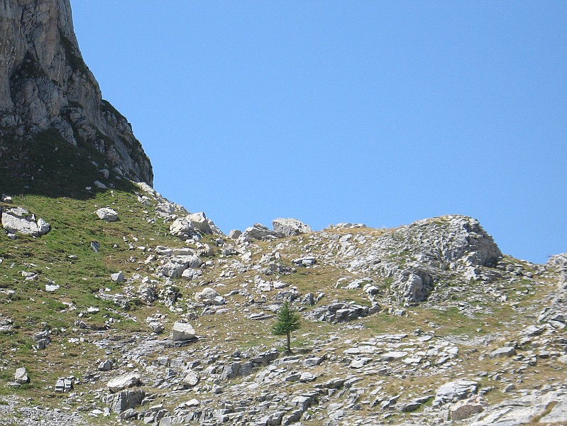 Clicca per vedere la Foto Originale