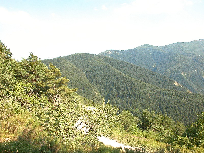 Clicca per vedere la Foto Originale