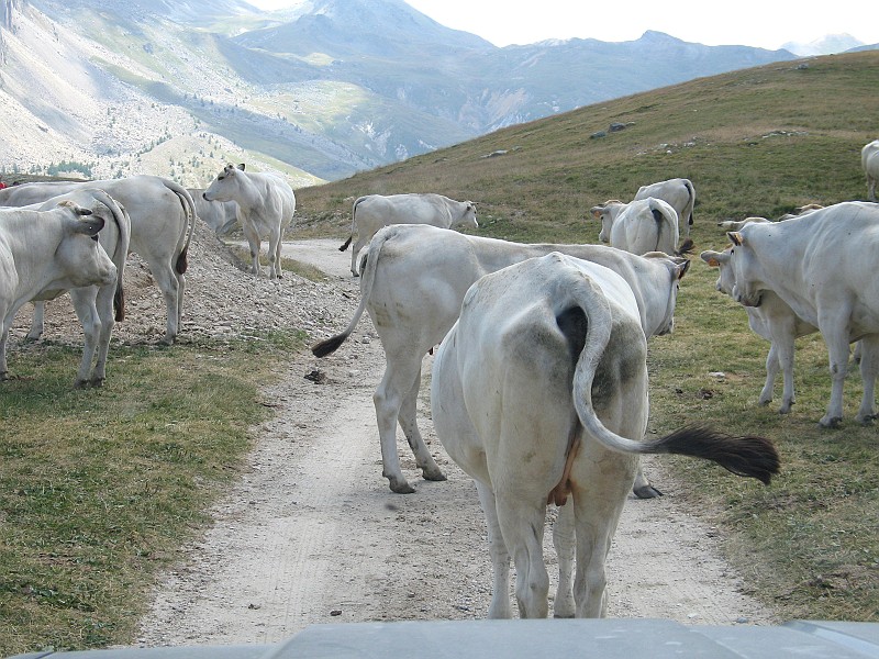 Clicca per vedere la Foto Originale