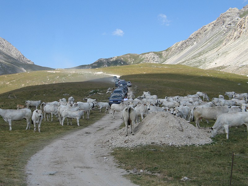 Clicca per vedere la Foto Originale
