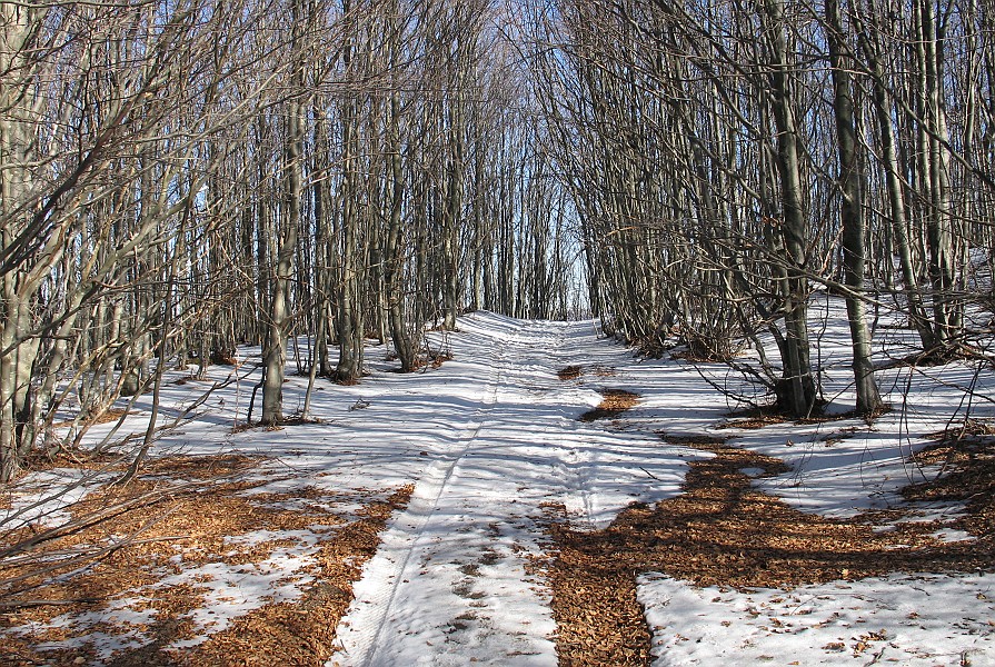 Clicca per vedere la Foto Originale