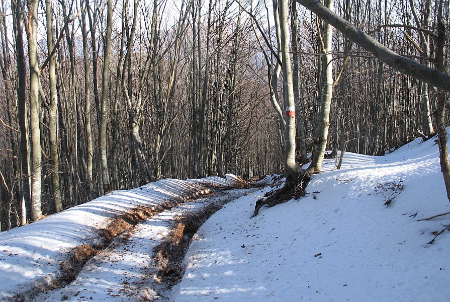 Clicca per vedere la Foto Originale