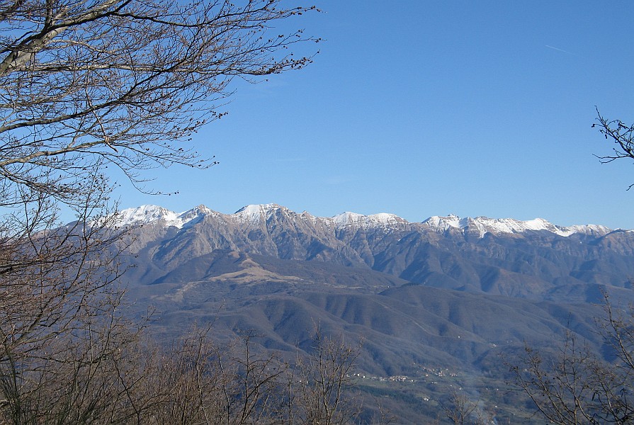 Clicca per vedere la Foto Originale