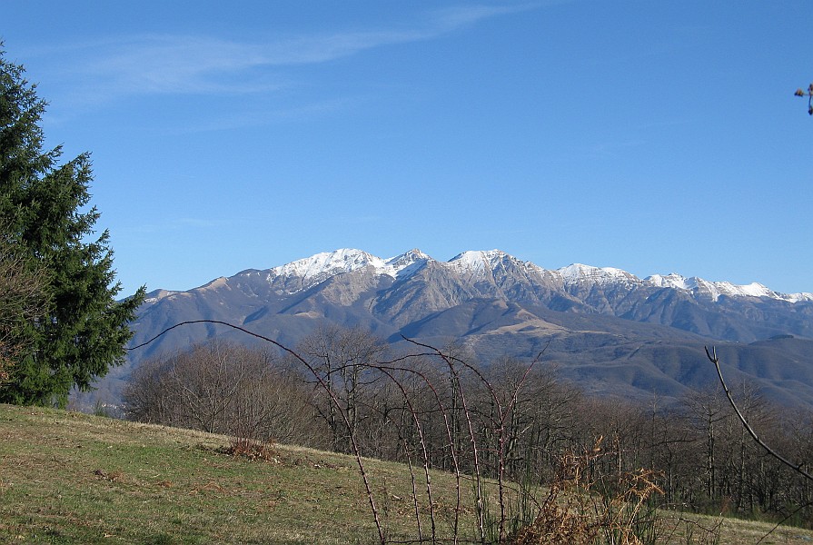 Clicca per vedere la Foto Originale