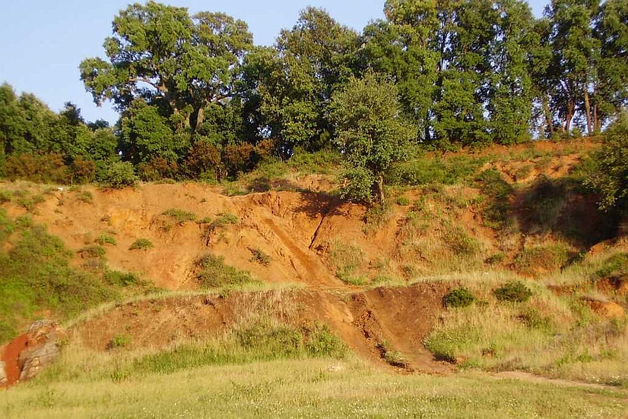 Clicca per vedere la Foto Originale