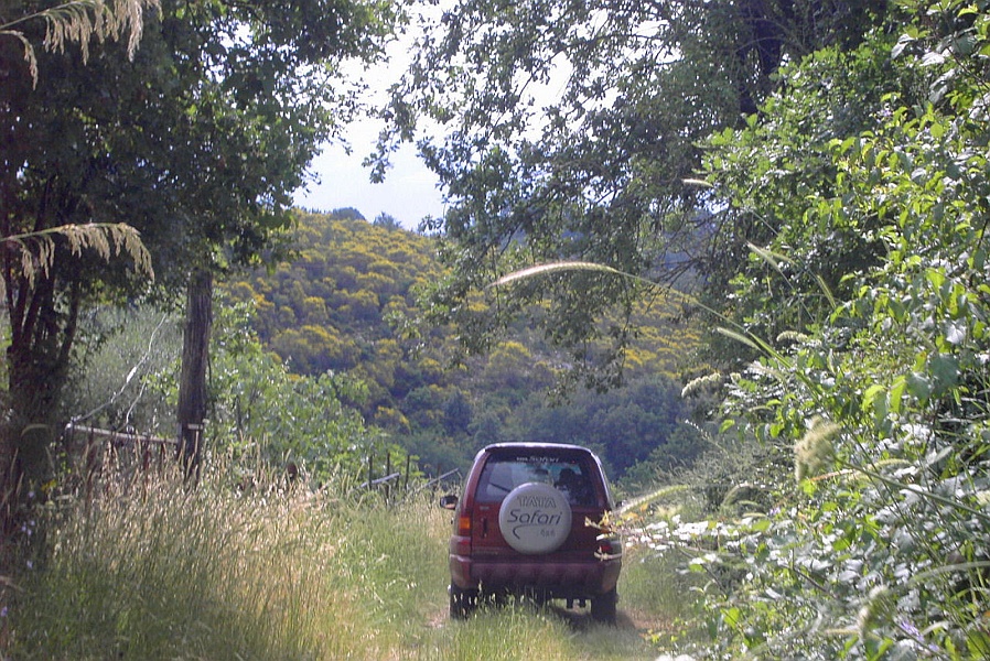 Clicca per vedere la Foto Originale