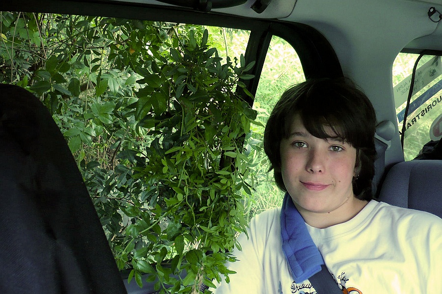 Clicca per vedere la Foto Originale