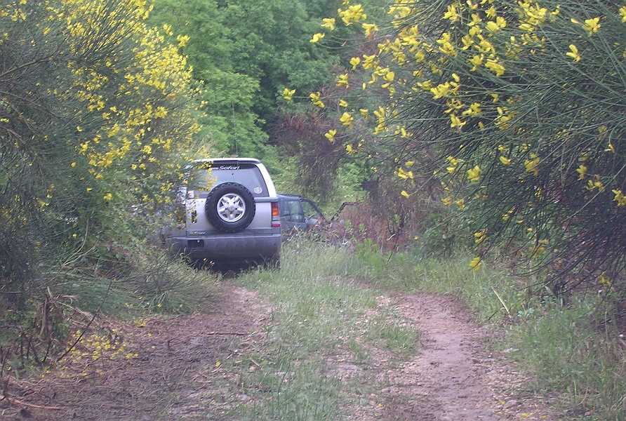 Clicca per vedere la Foto Originale