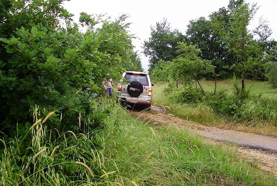 Clicca per vedere la Foto Originale