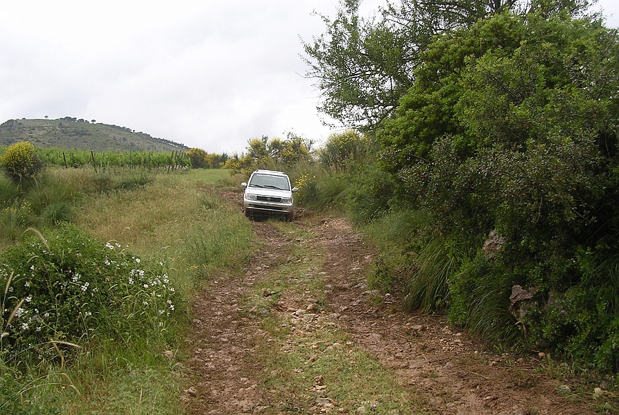 Clicca per vedere la Foto Originale