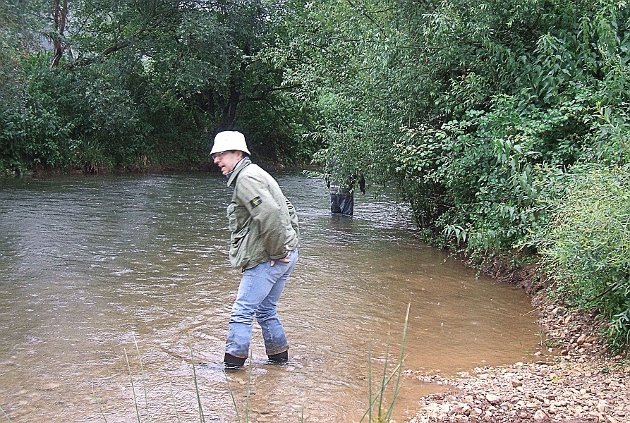 Clicca per vedere la Foto Originale