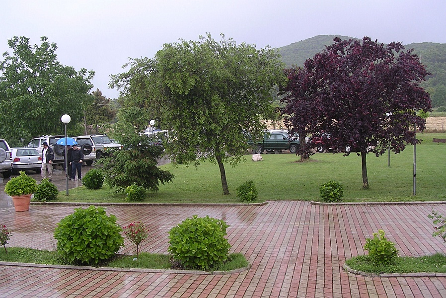 Clicca per vedere la Foto Originale