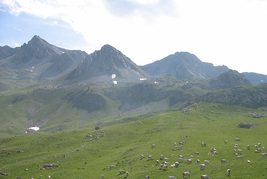 Clicca per vedere la Foto Originale