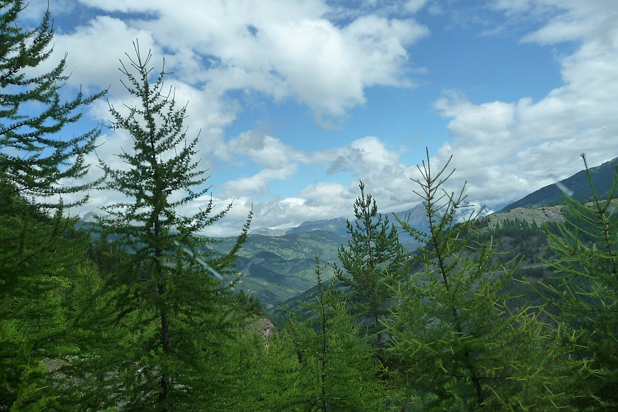 Clicca per vedere la Foto Originale