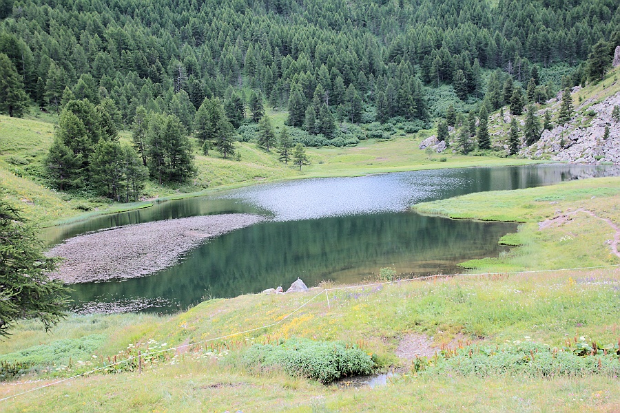 Clicca per vedere la Foto Originale