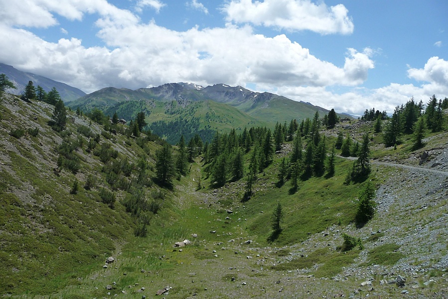Clicca per vedere la Foto Originale