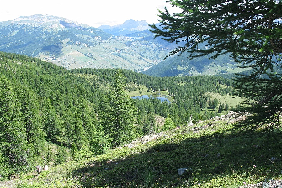 Clicca per vedere la Foto Originale